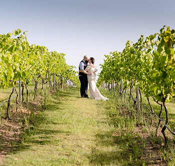 Marry Me Marilyn Trelise & Jamie Wedding The Arbour Sirromet Winery Mount Cotton Redlands